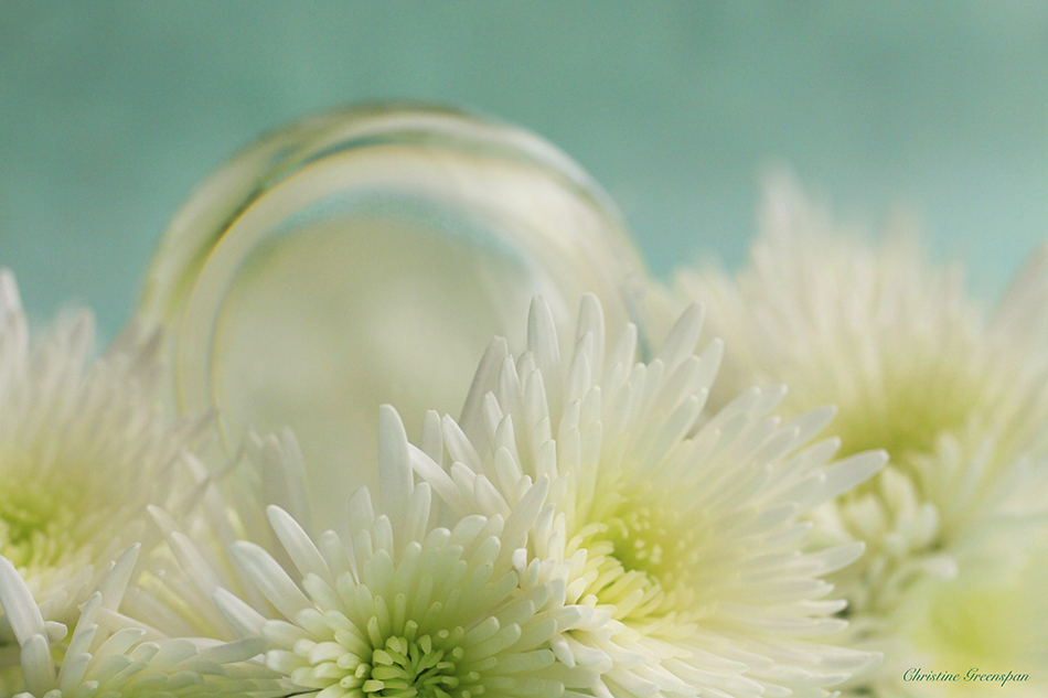 Flowers and Crystal Ball