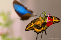April 2024 Photo Contest 2nd Place Prize Winner