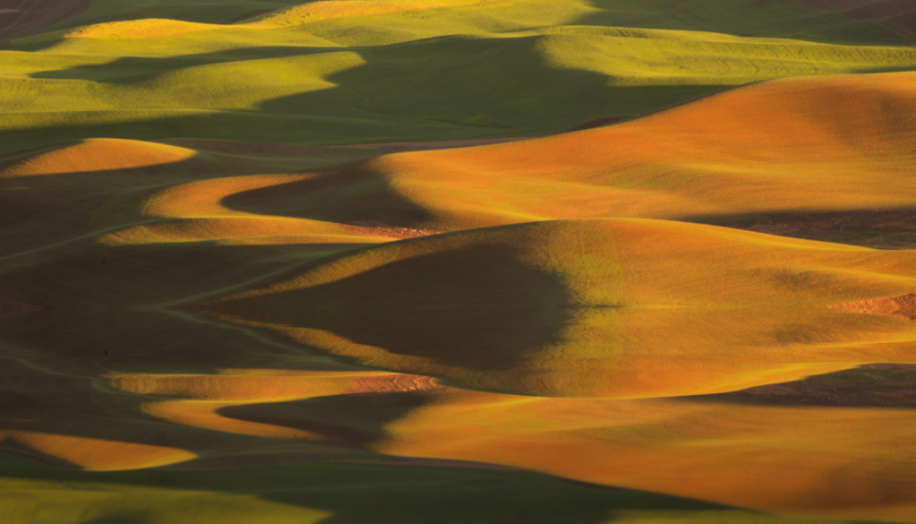 The Rolling Palouse