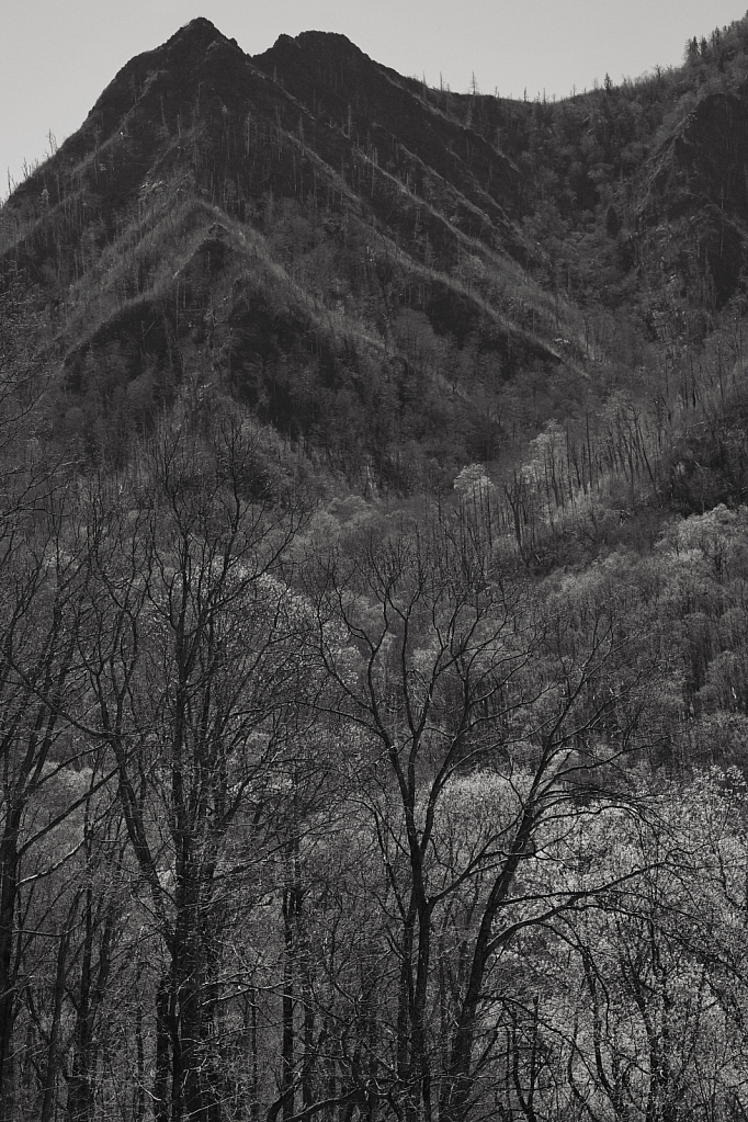 Chimney Tops Overlook