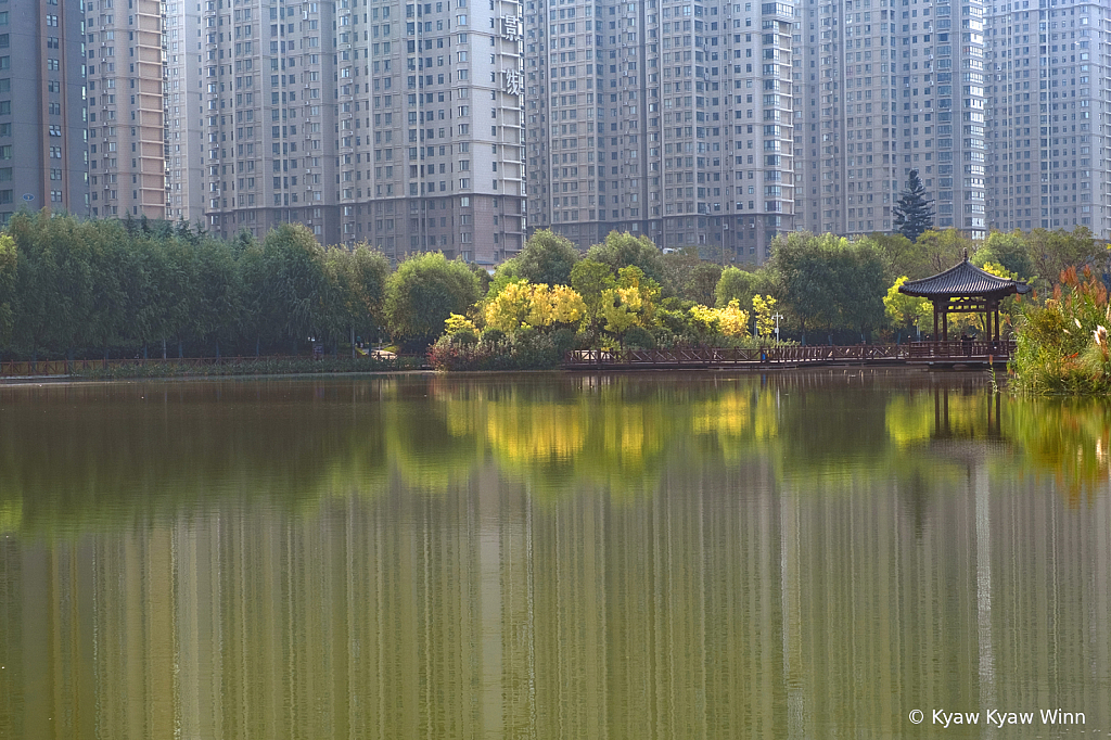 Color of Spring in China