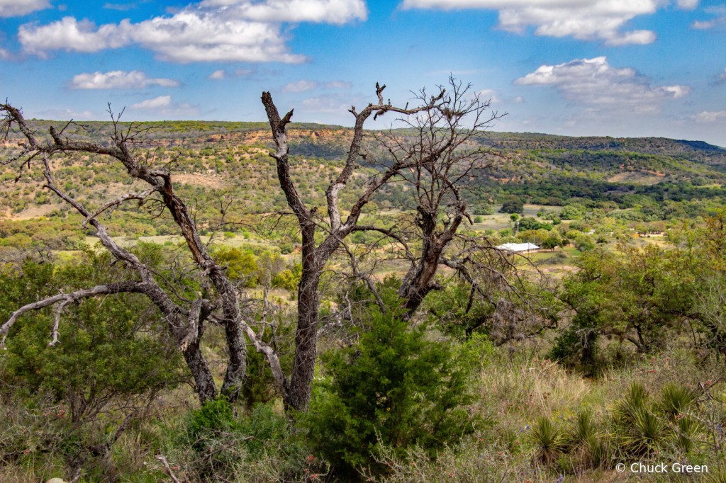 Texas Hill Country Spring