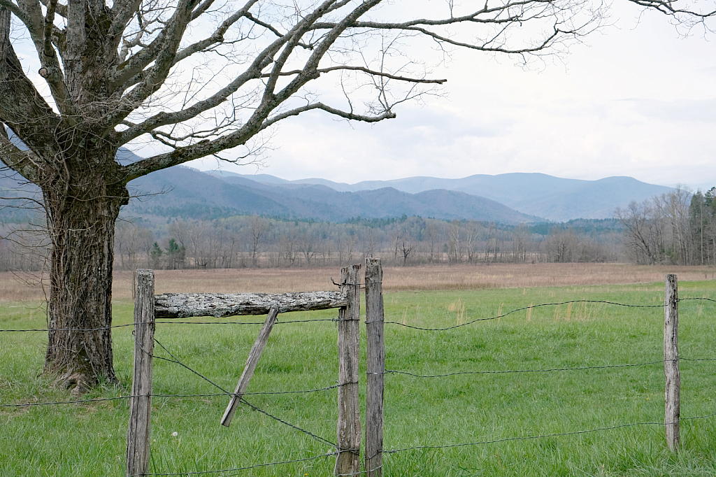 Cades Cove #7062