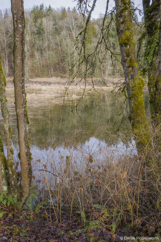 Essency Creek Pond