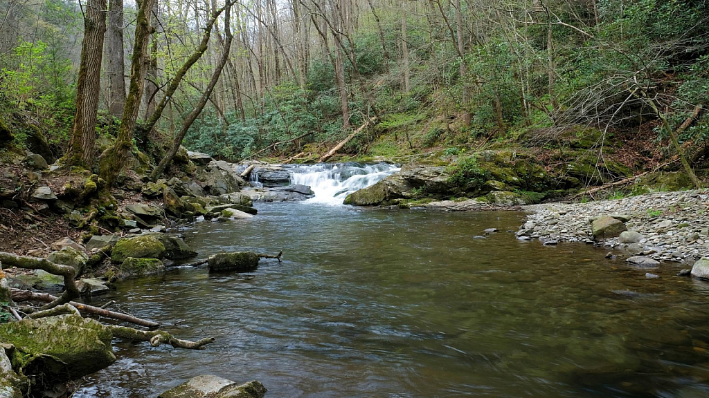 Little River, Great Smoky Mountains National 