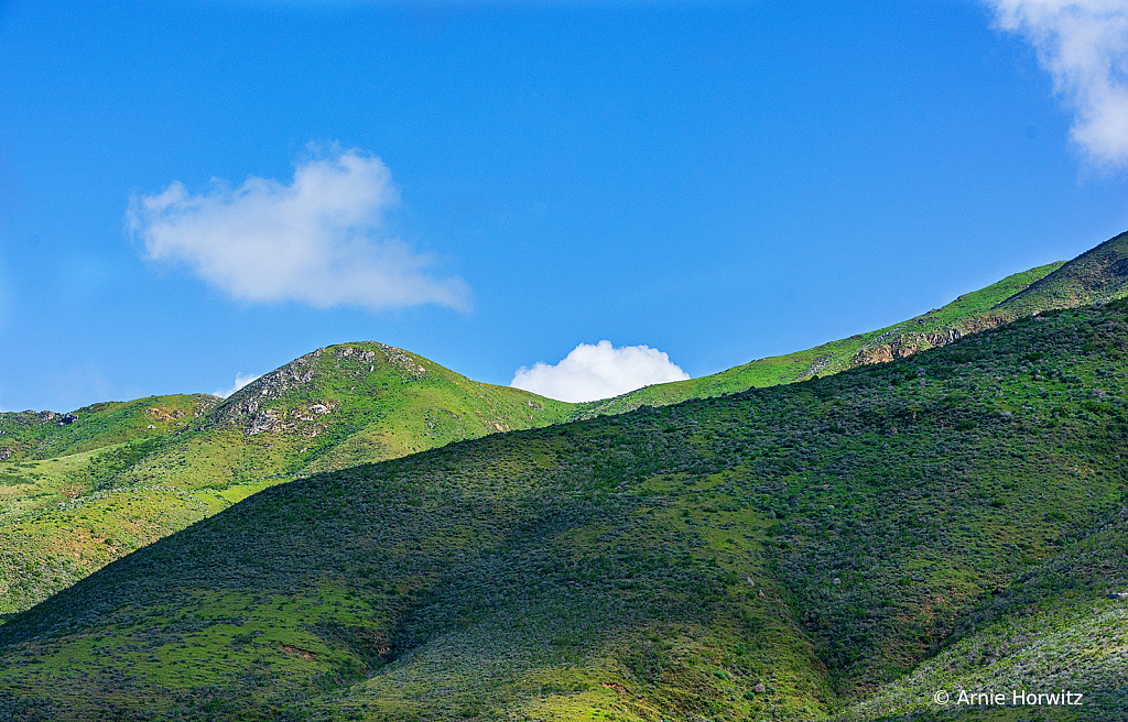 Spring Green in California