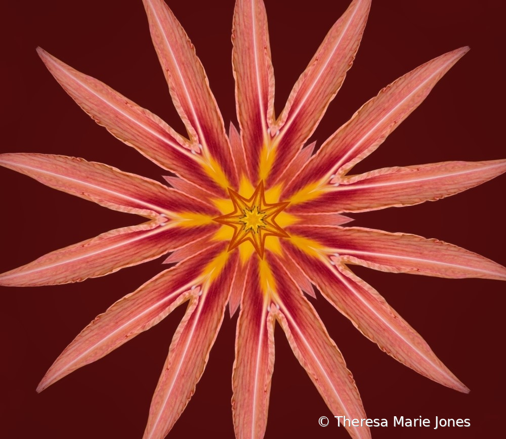 Kaleidescope Lily  - ID: 16112376 © Theresa Marie Jones