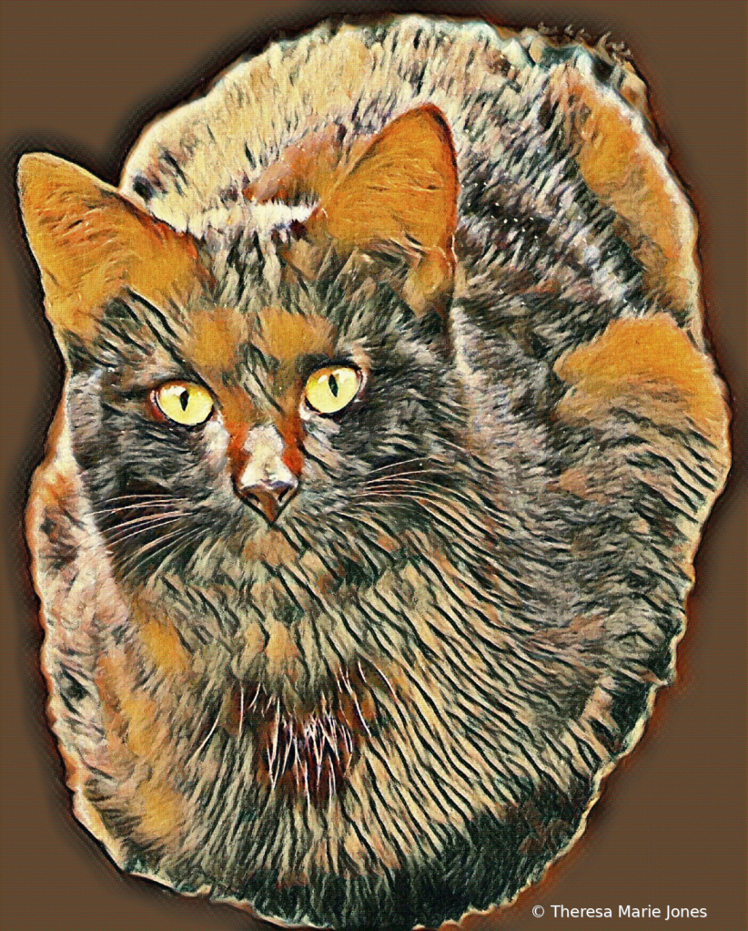 Crazy Cat - ID: 16112381 © Theresa Marie Jones