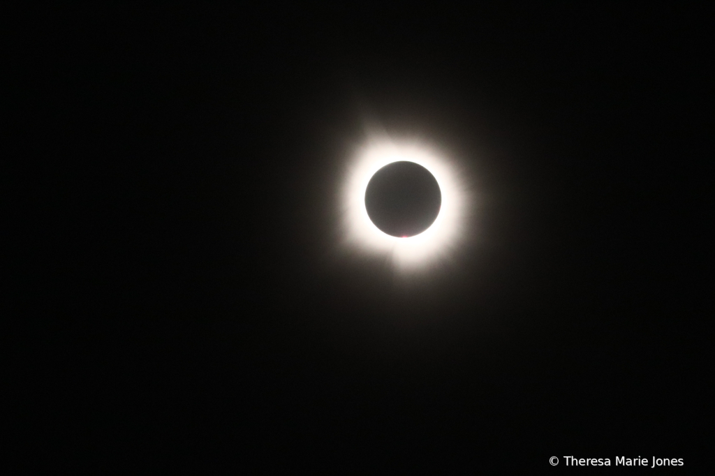 Eclipse 2024 - ID: 16112382 © Theresa Marie Jones