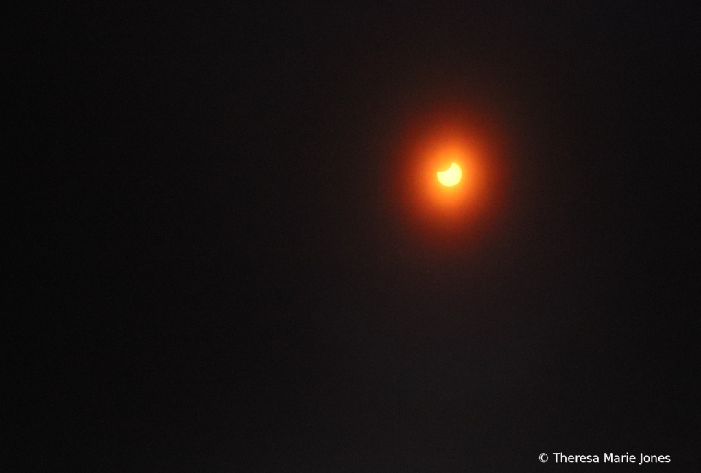 Partial Eclipse 2024 - ID: 16112384 © Theresa Marie Jones