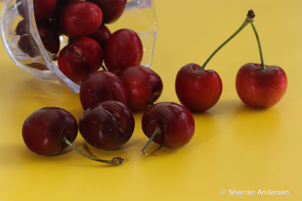 Cherry Love