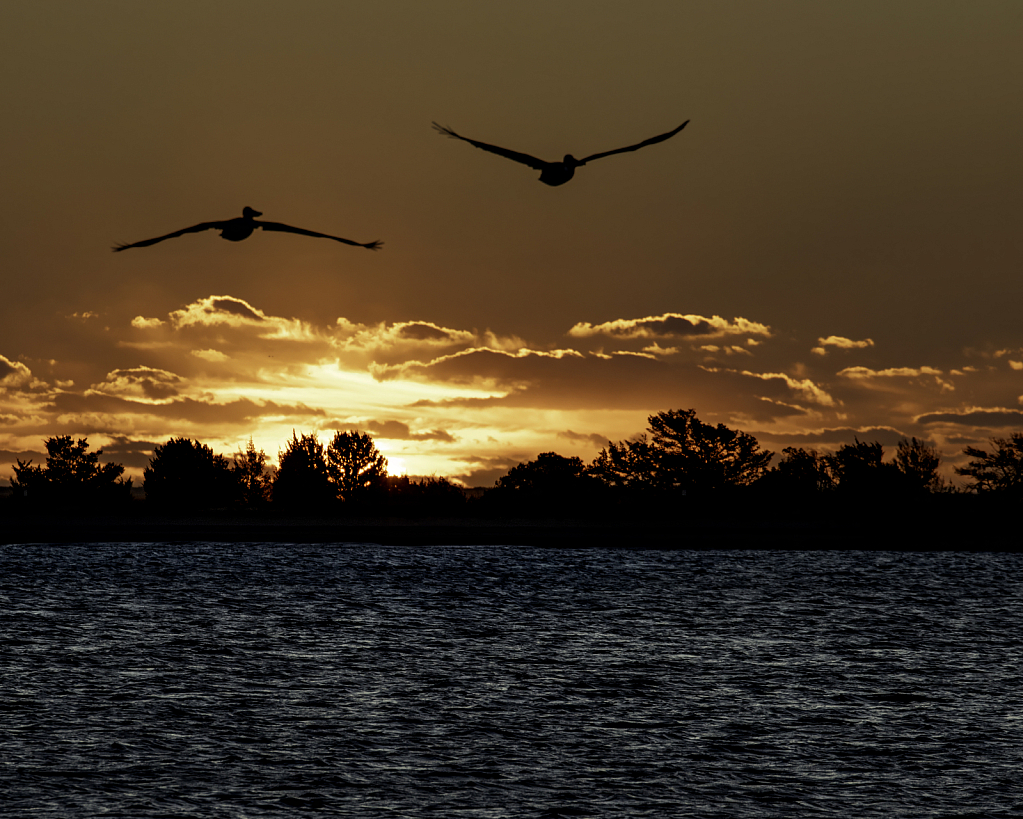 in flight