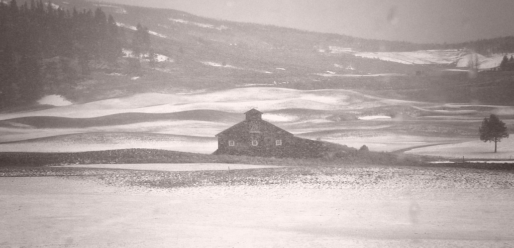 Lonely Barn from the Train