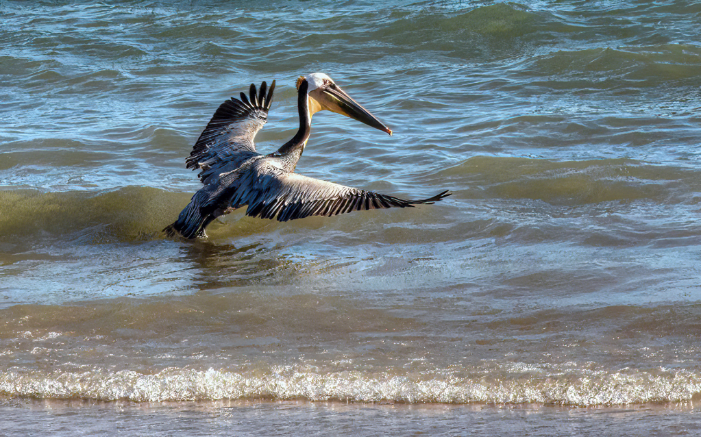 Glide Path