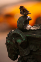 April 2024 Photo Contest 2nd Place Prize Winner