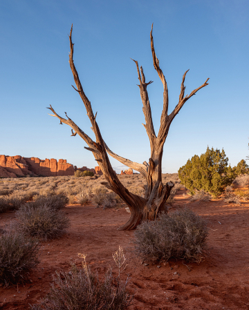 Arches National Park