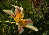 April 2024 Photo Contest 2nd Place Prize Winner