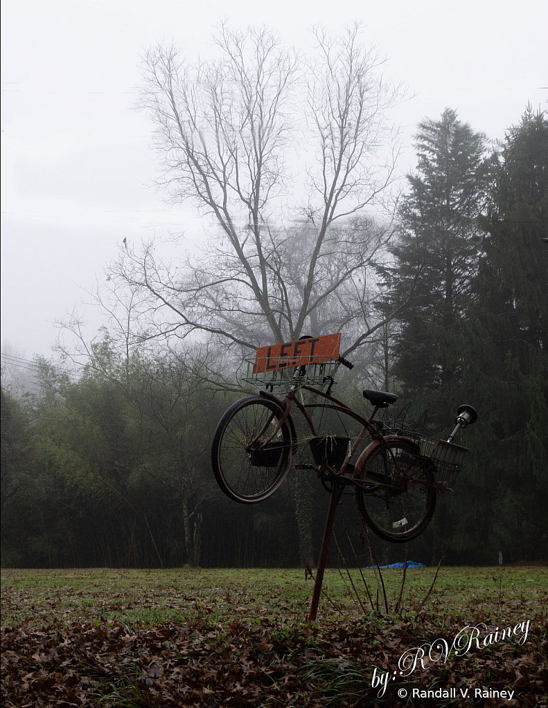 Dorothy & Toto's Flying Bike . . .