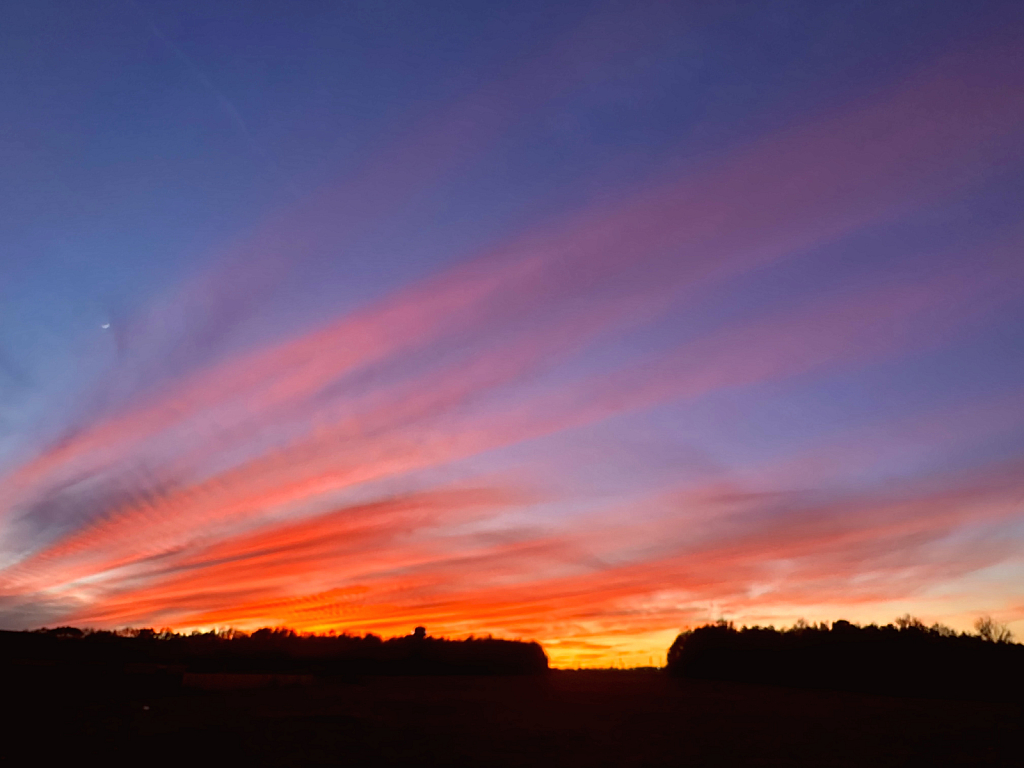 Bold sunset - ID: 16112696 © Elizabeth A. Marker