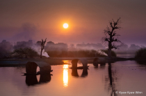 April 2024 Photo Contest 2nd Place Prize Winner