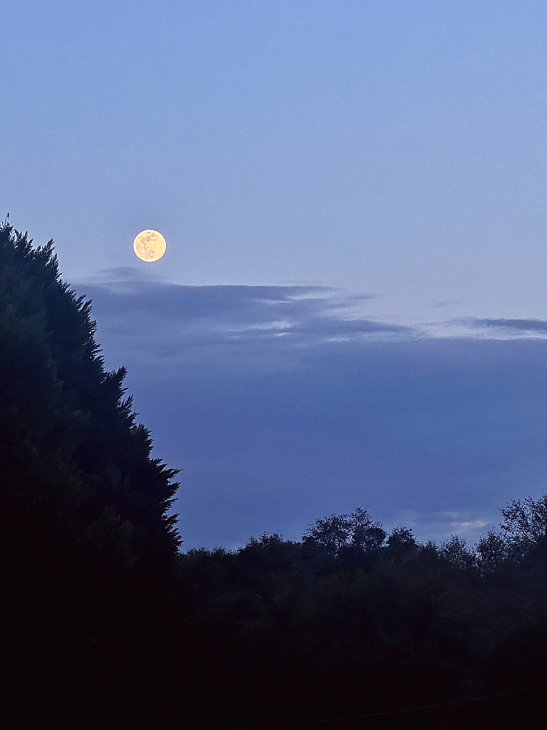Full Moon - ID: 16112817 © Elizabeth A. Marker