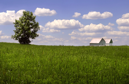 cOUNTRY SCENE