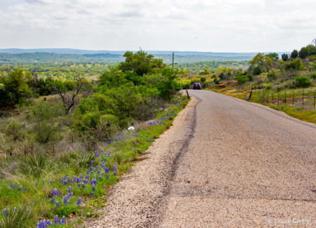 Texas Hill Country Spring 2