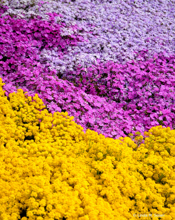 April 2024 Photo Contest 1st Place Prize Winner