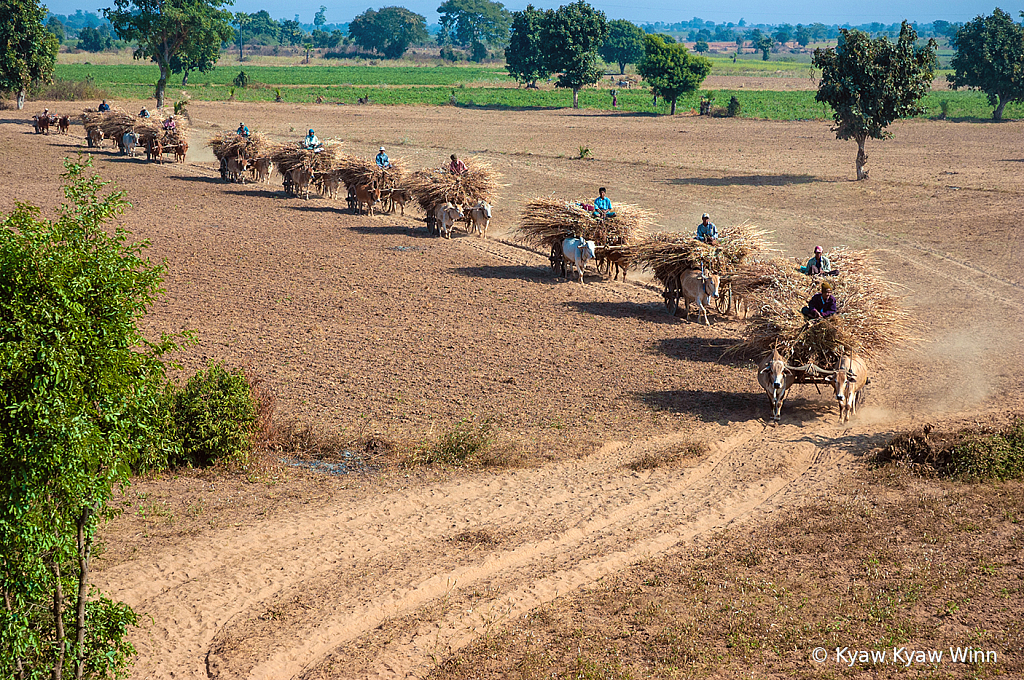 Summer in Myanmar