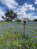 April 2024 Photo Contest 2nd Place Prize Winner