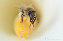 April 2024 Photo Contest 2nd Place Prize Winner