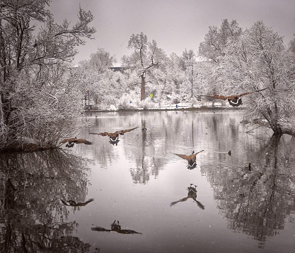 Cold Landing