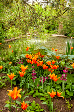 Courts Garden in Spring