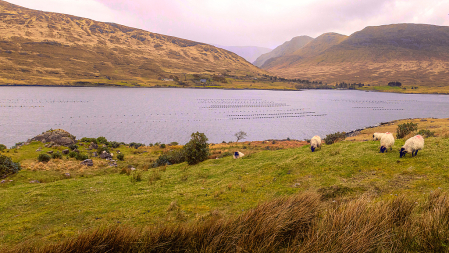 Gorgeous Ireland!