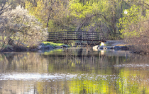 April 2024 Photo Contest 2nd Place Prize Winner