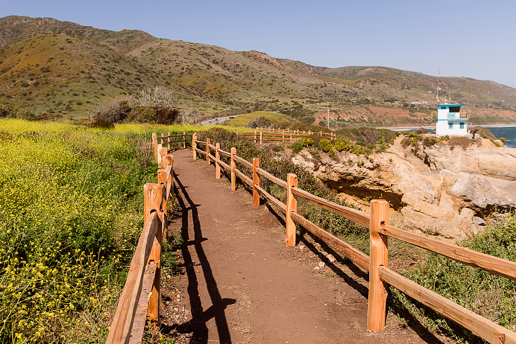 Beach trail