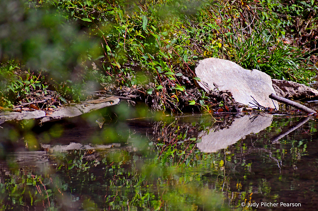 a hidden pool of reflections...