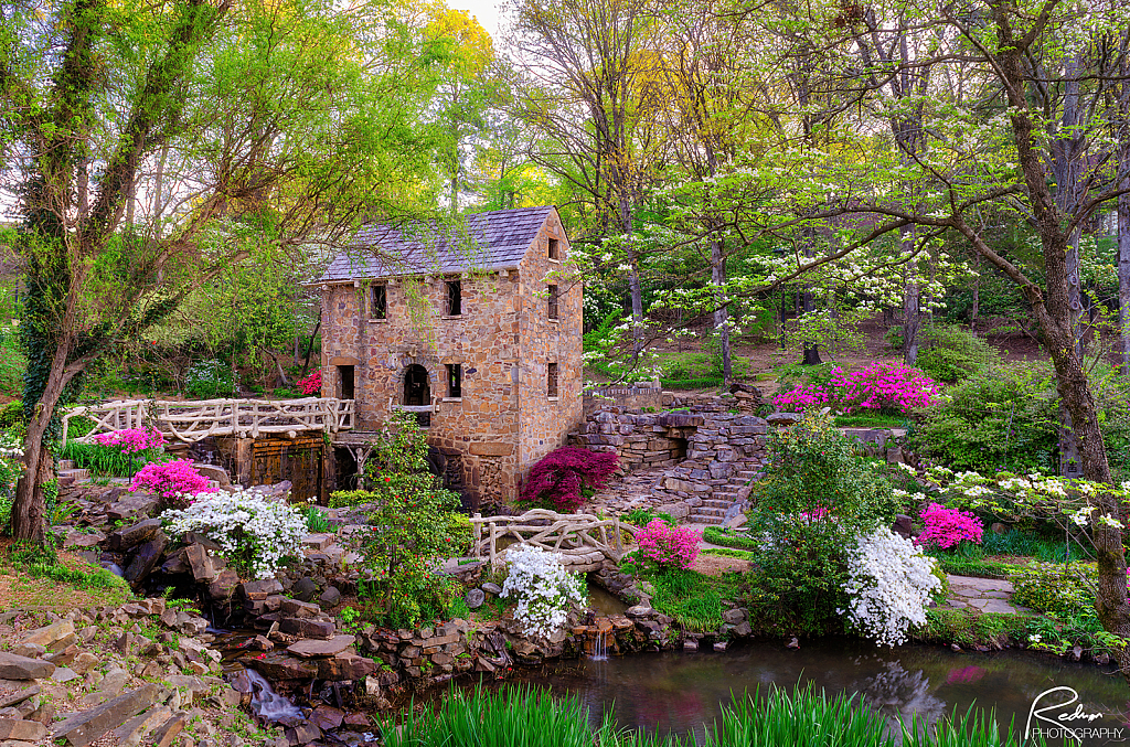 Spring Glory: Old Mill In Early Morning