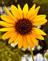 April 2024 Photo Contest 2nd Place Prize Winner