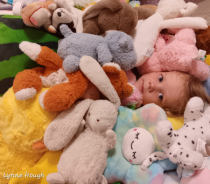 April 2024 Photo Contest 2nd Place Prize Winner