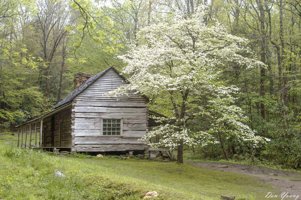 Bud Ogle Cabin, Roaring Fork Motor Trail