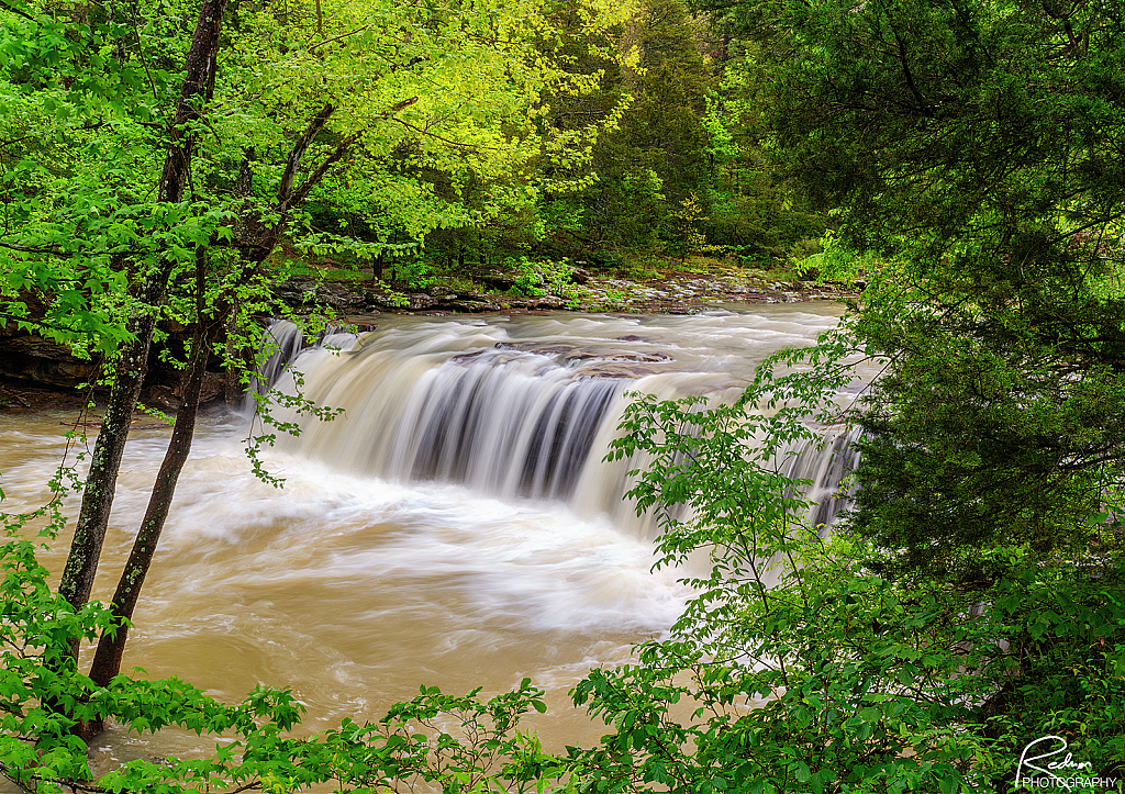 Spring Flow at Falling Water Falls