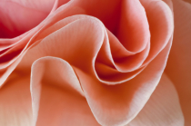 April 2024 Photo Contest 2nd Place Prize Winner