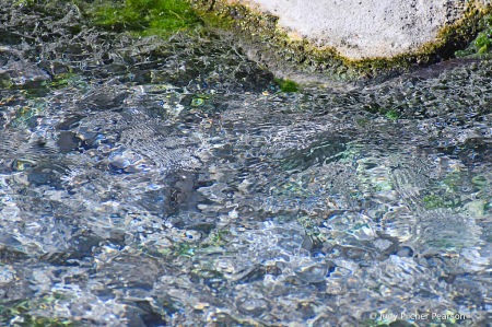 abstract waters of Sulphur Creek.....