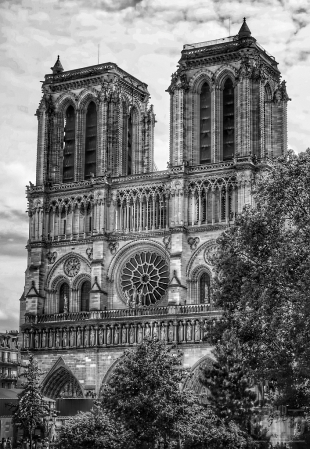 ~ ~ NOTRE DAME ~ ~ 