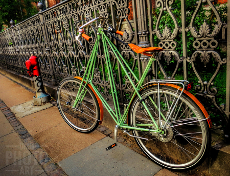 ~ ~ GREEN BICYCLE ~ ~ 