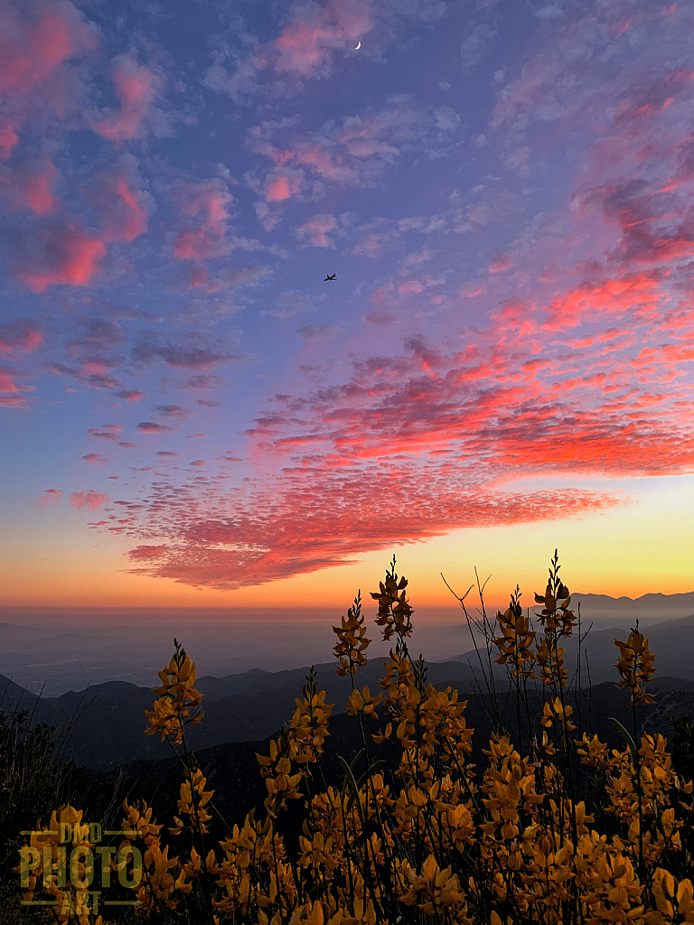 ~ ~ SOUTHERN CALI SUNSET ~ ~ 