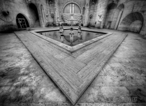 April 2024 Photo Contest 2nd Place Prize Winner