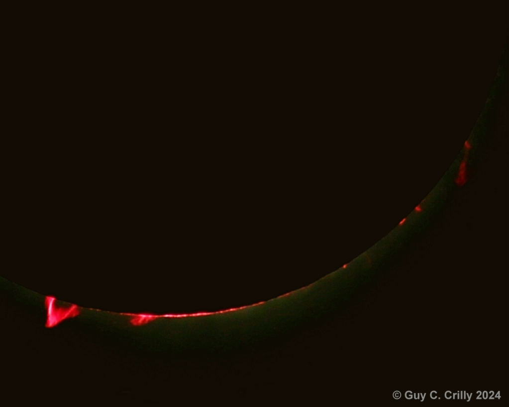 Solar Prominences During Totality