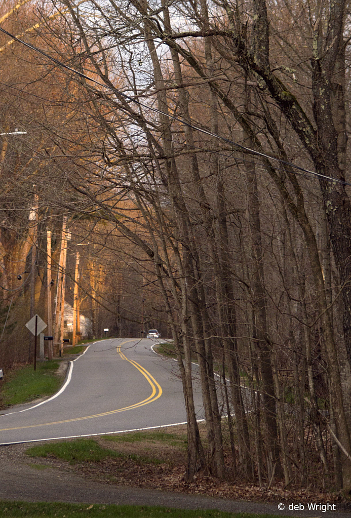 Down the Road - ID: 16113911 © deb Wright